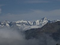 CH, Wallis, Saas Fee, Felskinn 11, Saxifraga-Willem van Kruijsbergen